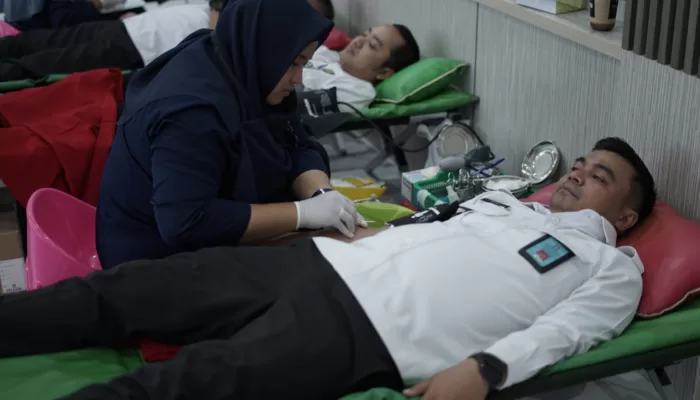 donor darah