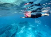Menengok Pulau Derawan, Destinasi Wisata Unggulan Kalimantan Timur 1 IMG 20240703 WA0087