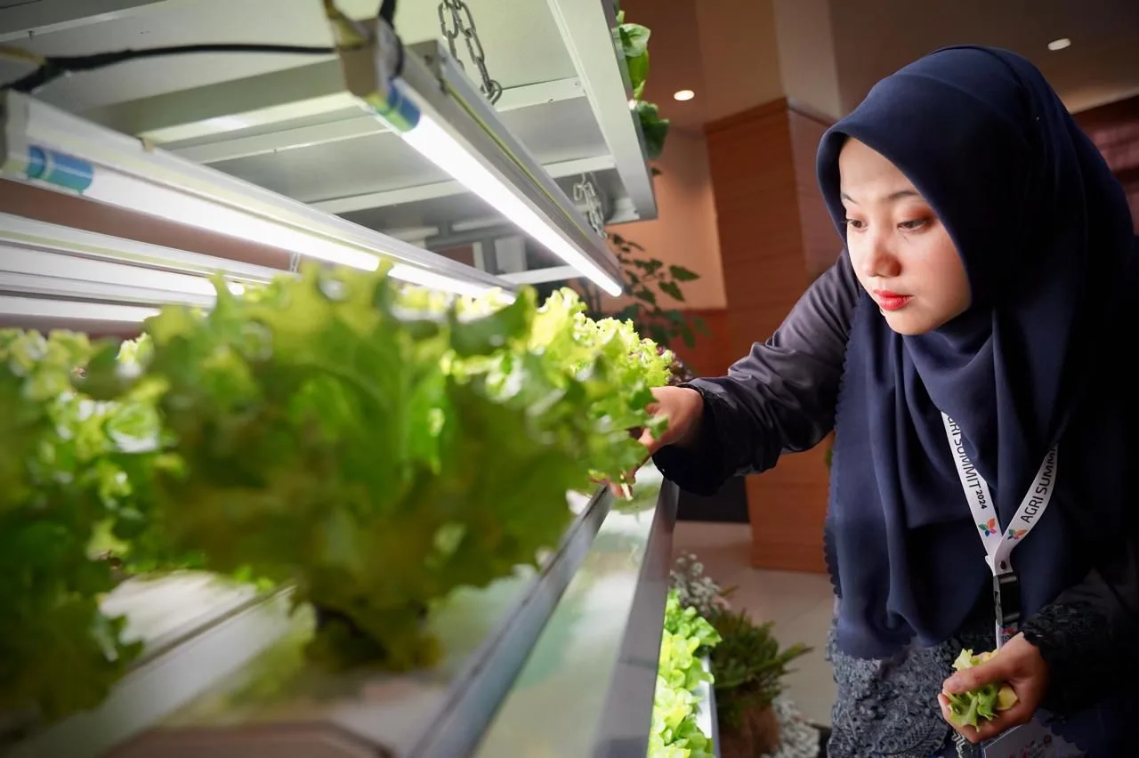 Teten Masduki Sebut Pentingnya Perkuat Minat Anak Muda Terjun ke Sektor Pertanian 1 ae1 82 jpg