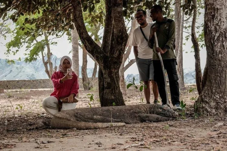 BPOLBF Pastikan Keamanan dan Kenyamanan Wisata di TN Komodo Selama Nataru 1 IMG 20241229 WA0068