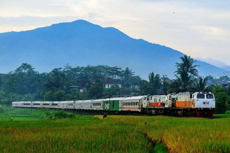 pul 63