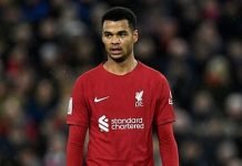 Tottenham Hotspur Disebut Punya Peluang Tinggi Rekrut Cody Gakpo, Liverpool Siap Melepas?