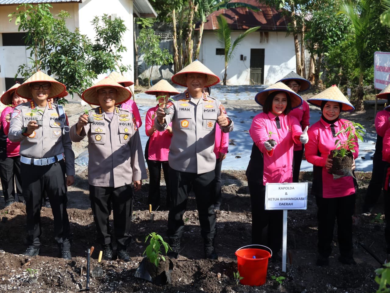 Kapolda Kalteng Bersama Ketua Bhayangkari Panen Sayuran di Lahan P2L, Dukung Program Ketahanan Pangan Nasional 1 pul 330
