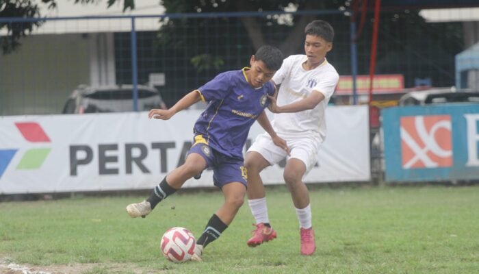 UMS 6