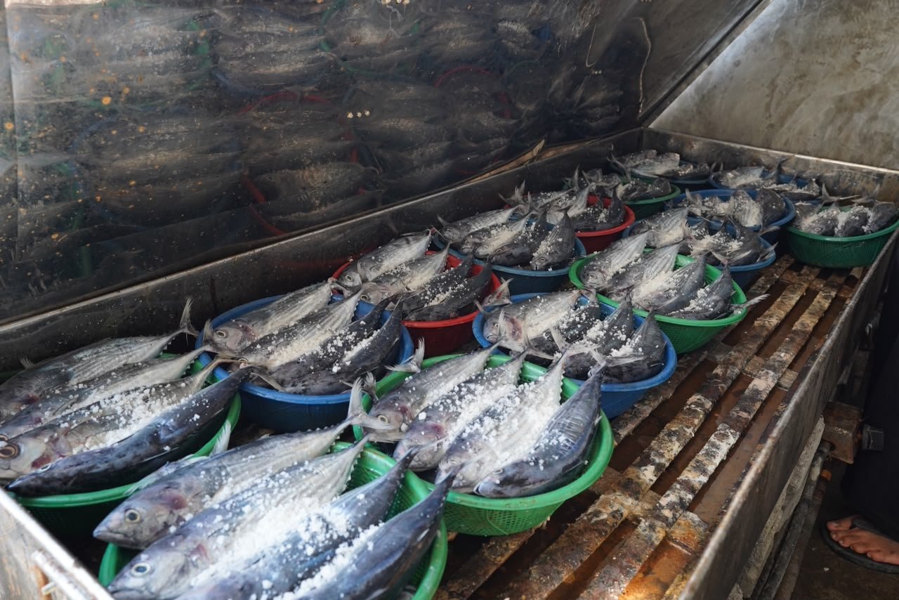 LPDB Koperasi Terus Perkuat Peran Koperasi dengan Salurkan Dana Bergulir dan Pendampingan Kelembagaan 6 9064c710 16fd 46f6 aebe e9e931a19660