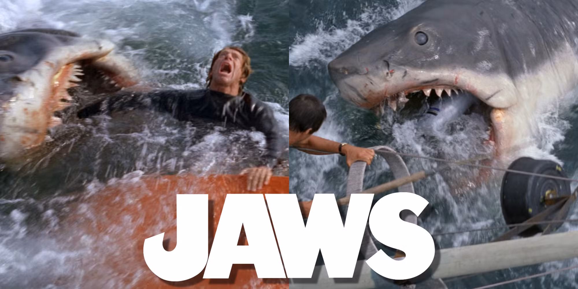 Split image of different shark attack sequences in Jaws