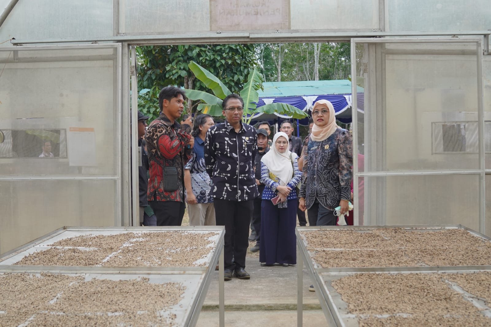 Kementerian UMKM: Holding UMKM Perkebunan Perkuat Rantai Nilai Lada Putih Muntok 1 50b782fa b437 43a3 ac92 c4f78db19da9