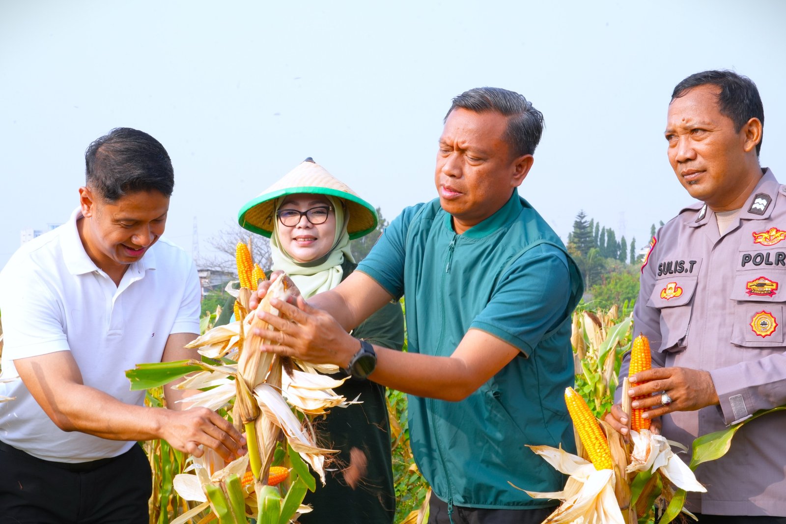 Wali Kota Munjirin Ajak Warga Optimalkan Pekarangan untuk Dukung Ketahanan Pangan 1 d3dc9908 f365 475e ab37 e016874f81ce