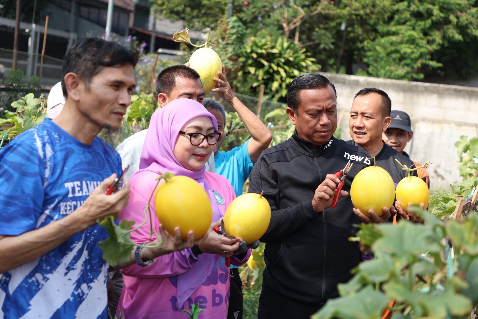 Panen Golden Melon di Lahan Tidur, Wali Kota Jaktim Dorong Gerakan Urban Farming 1 3b49527c 5774 40a1 baf4 f6f4bc53cfc8 scaled