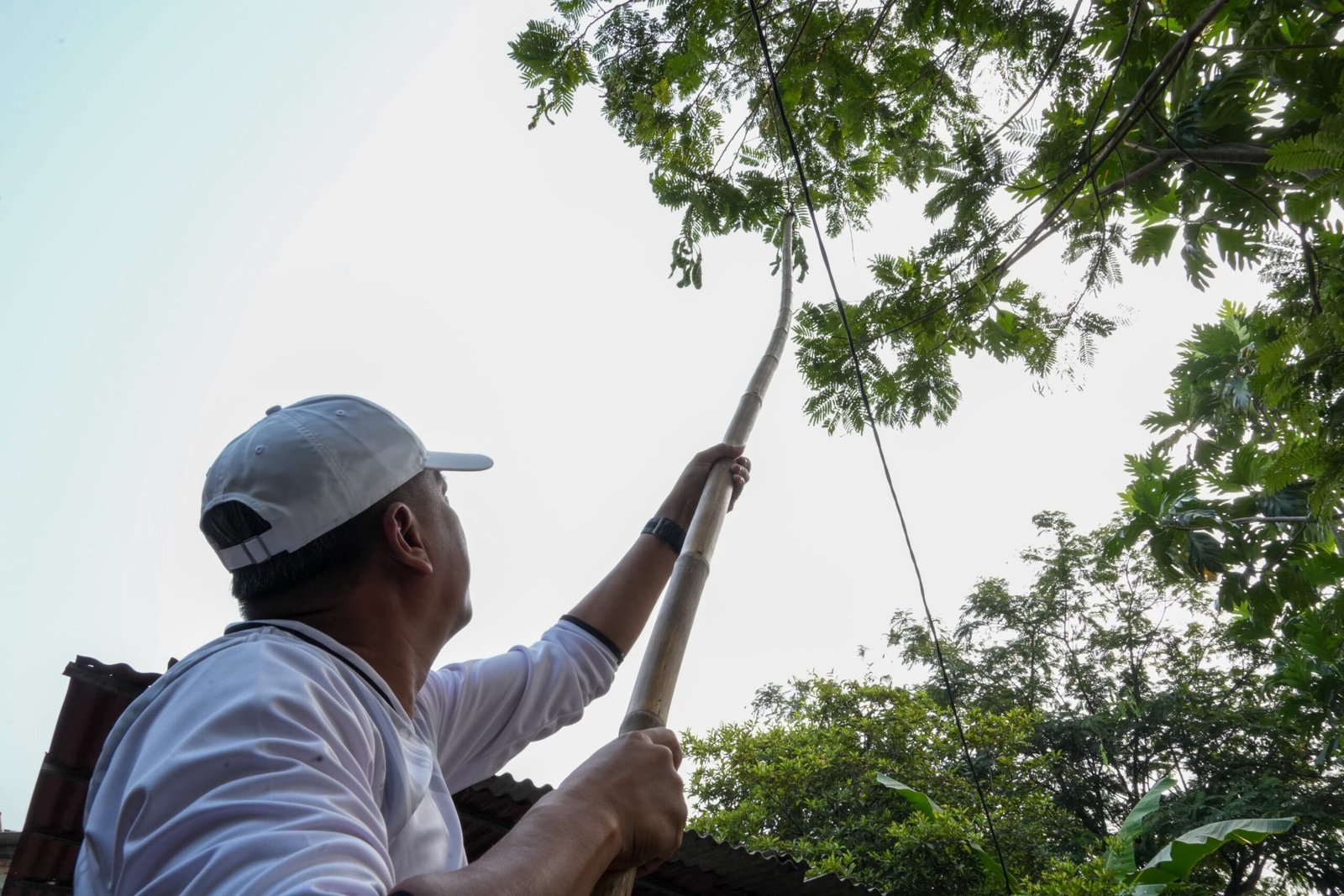 Usai Gerebek Lumpur Kali Sunter, Munjirin Panen Singkong dan Petai Bersama Warga 2 8a82a4d5 5bda 402d 8832 52454f70445b scaled